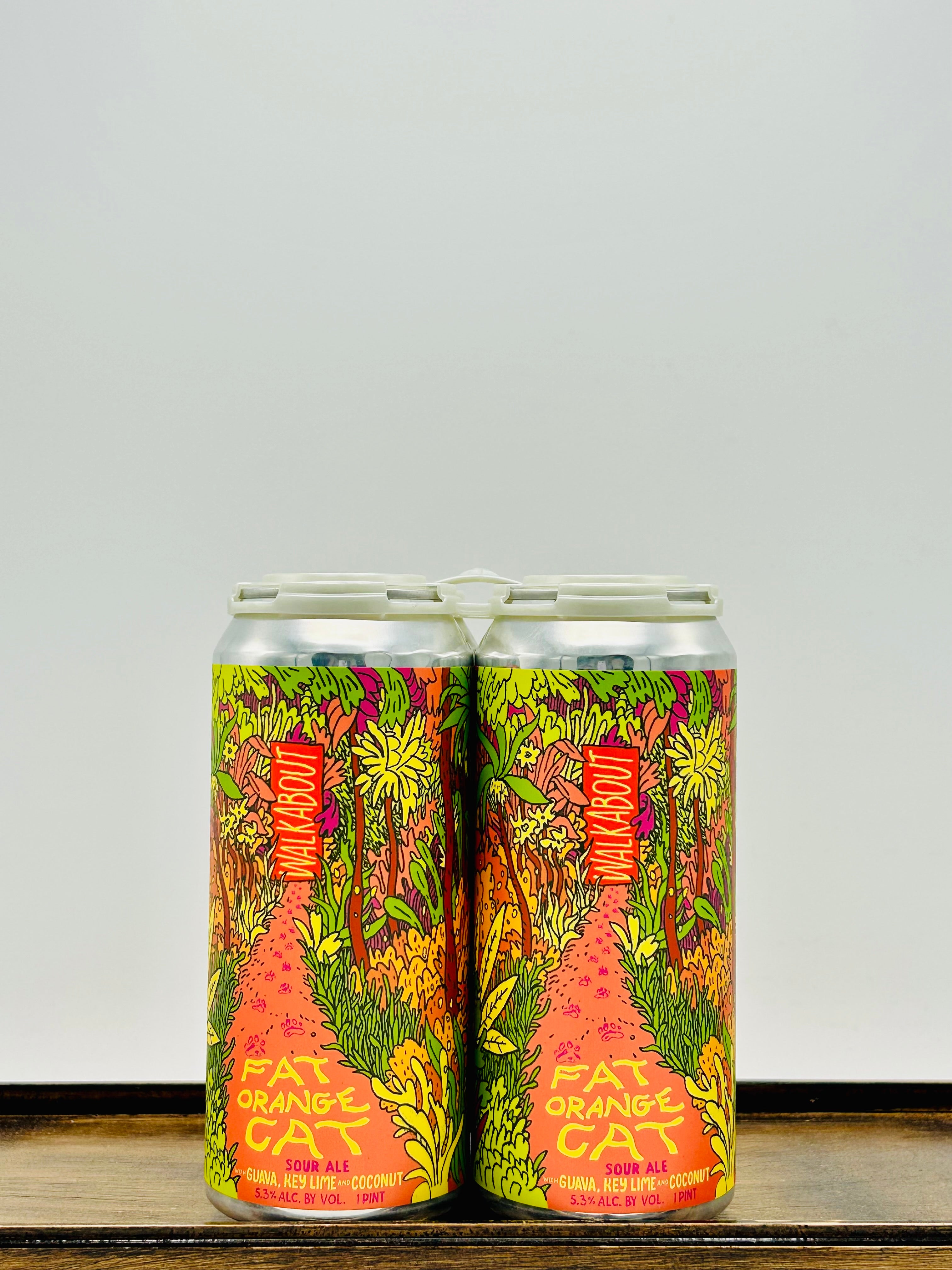 Fat Orange Cat Brewing 'Walkabout' Guava Key Lime Coconut Sour Ale