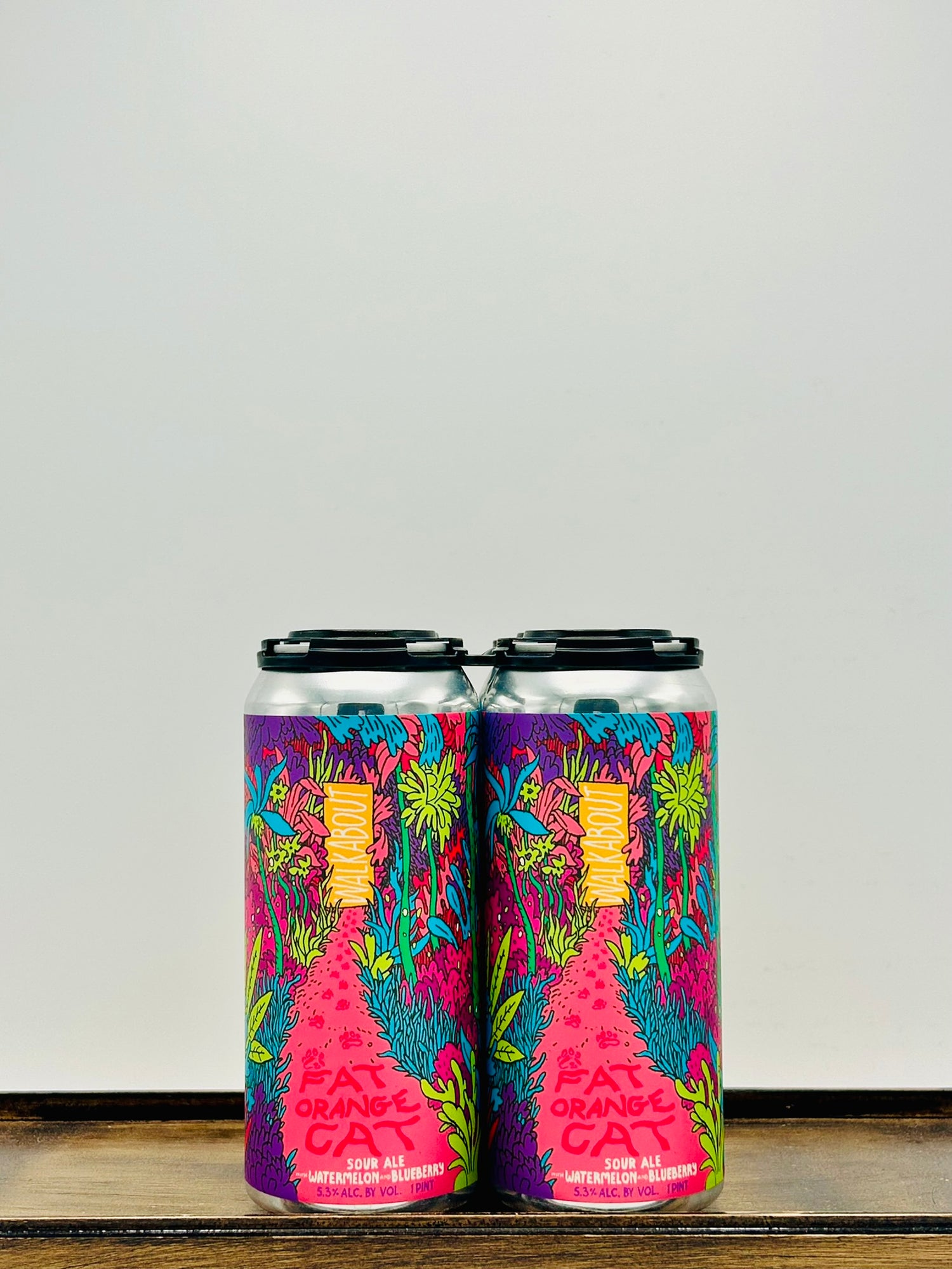 Fat Orange Cat Brewing 'Walkabout' Watermelon Blueberry Sour Ale