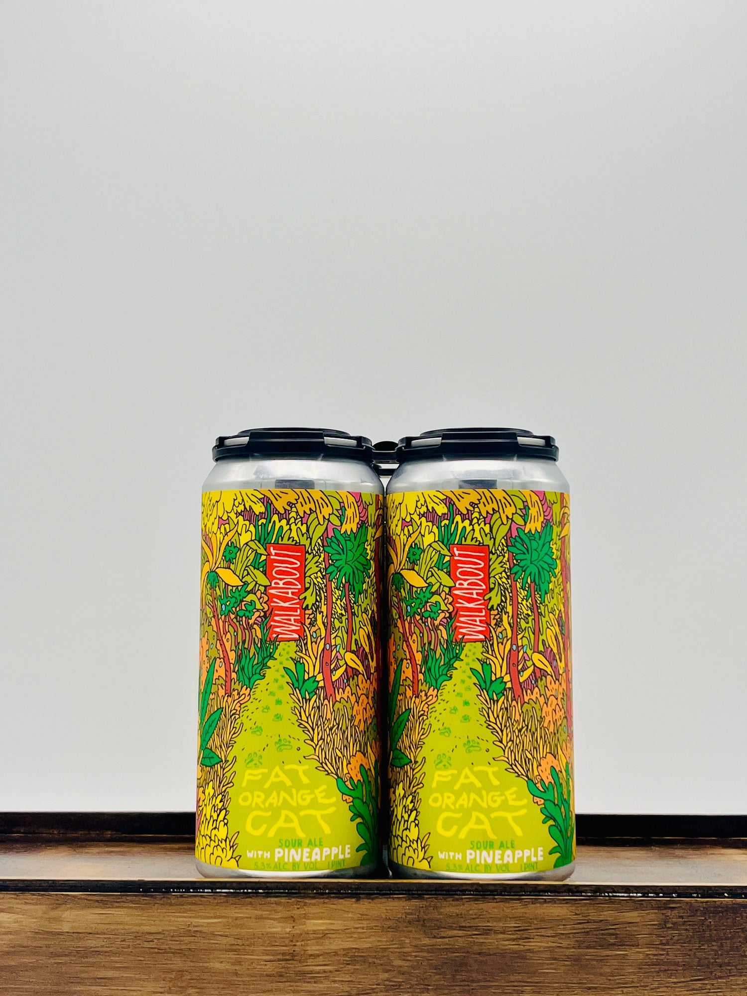 Fat Orange Cat Brewing 'Walkabout' Pineapple Sour Ale