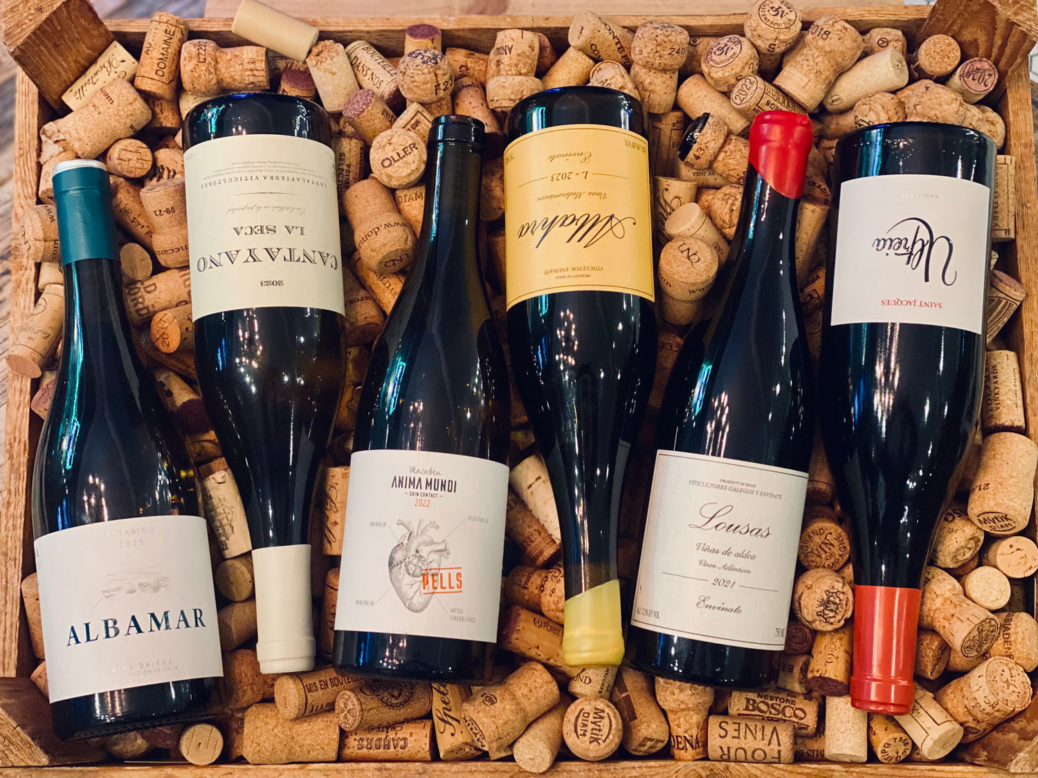 Zach's Spanish Exploration - A Hand-Selected Six Pack (WEST HARTFORD)