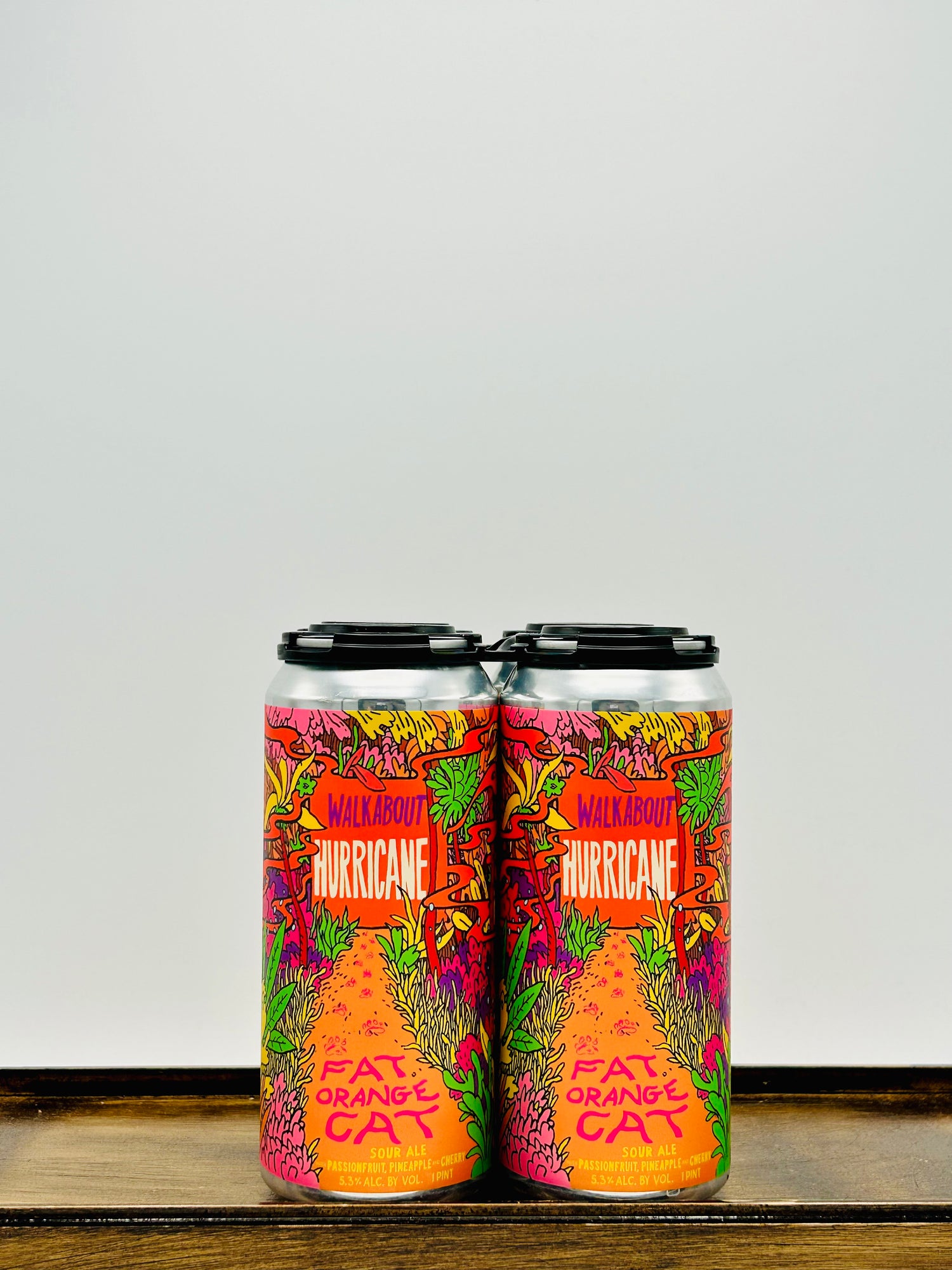 Fat Orange Cat Brewing 'Walkabout Hurricane' Sour Ale