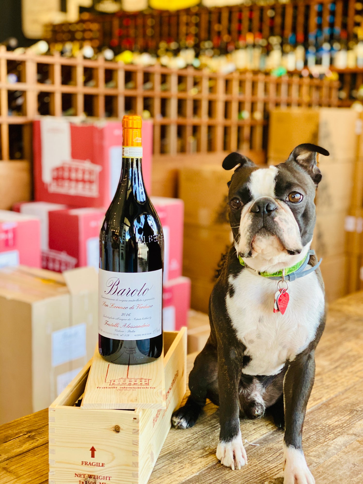 The Barolo Cellar (From Our Direct Import Offer '21)