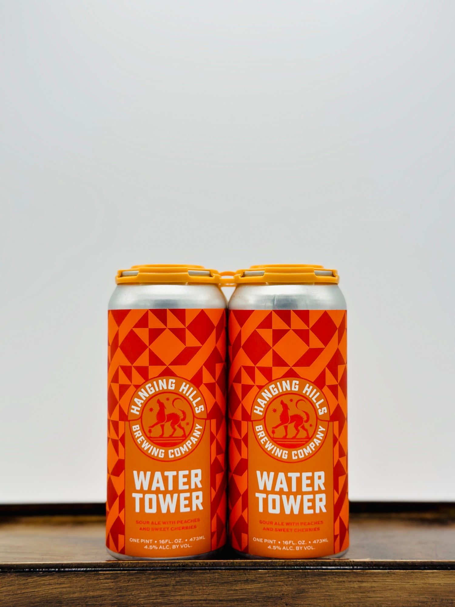 Hanging Hills Brewing 'Water Tower' Fruited Kettle Sour