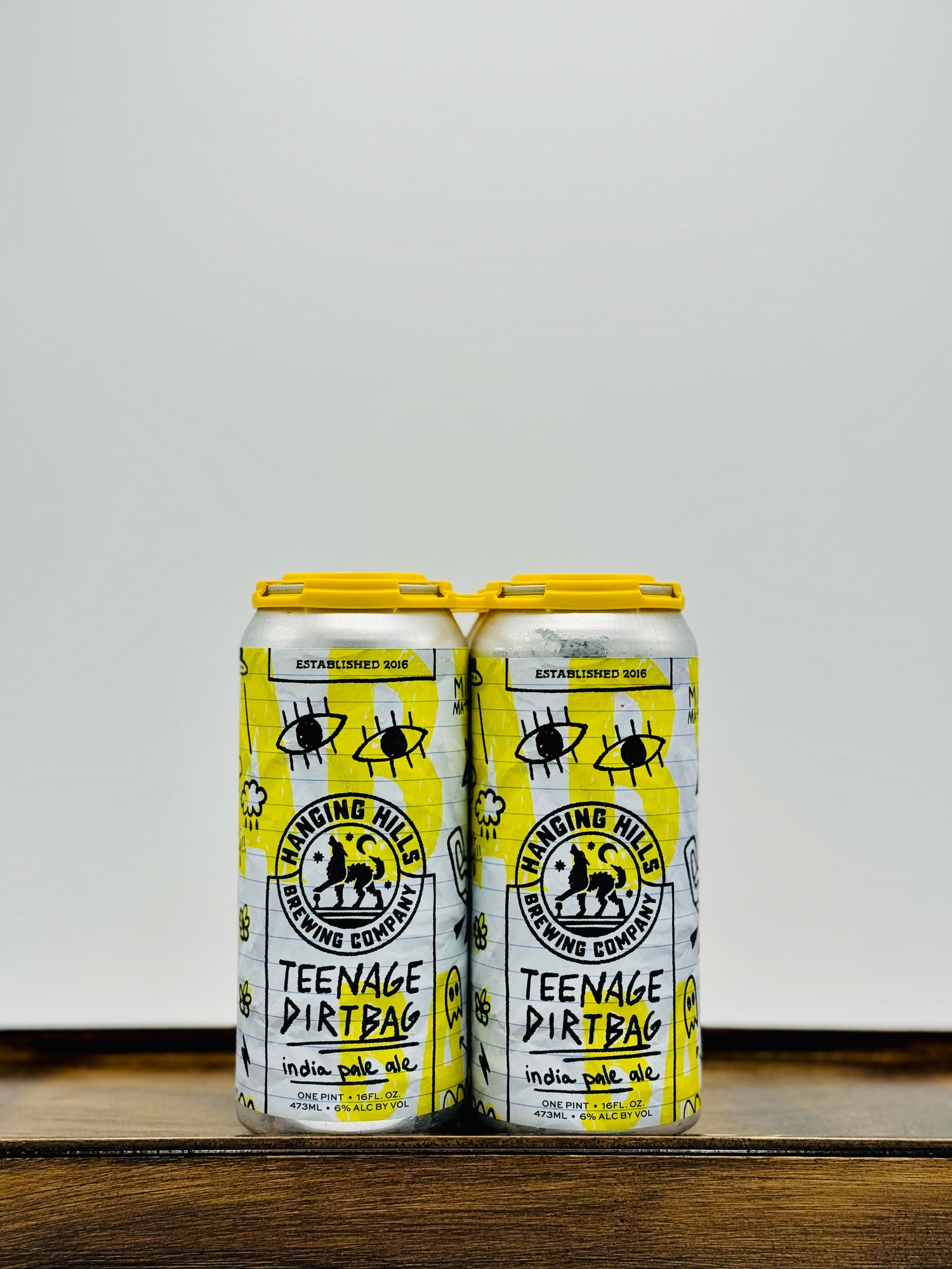 Hanging Hills Brewing 'Teenage Dirtbag' IPA