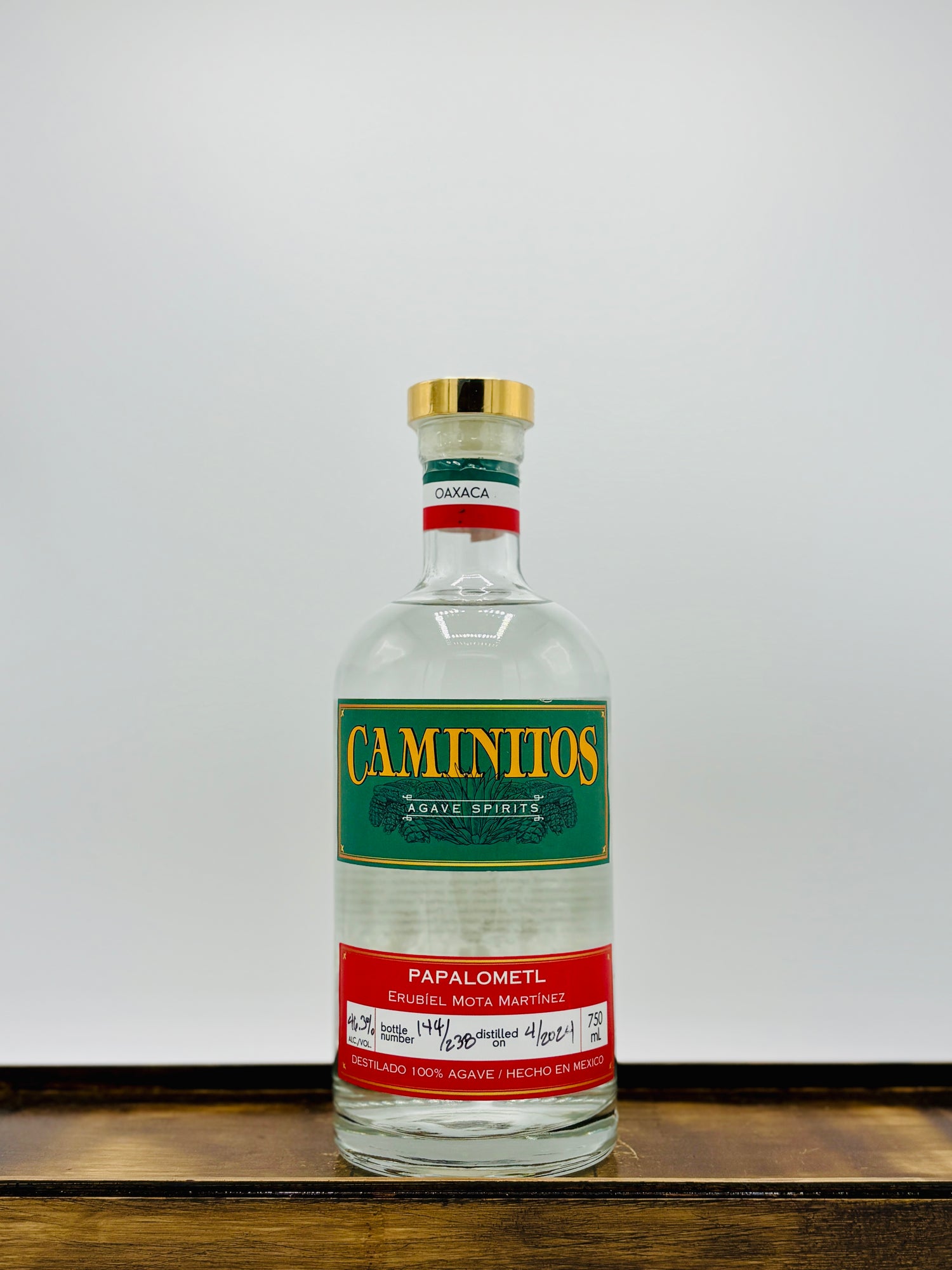 Caminitos Erubiel Mota Martinez Papalometl