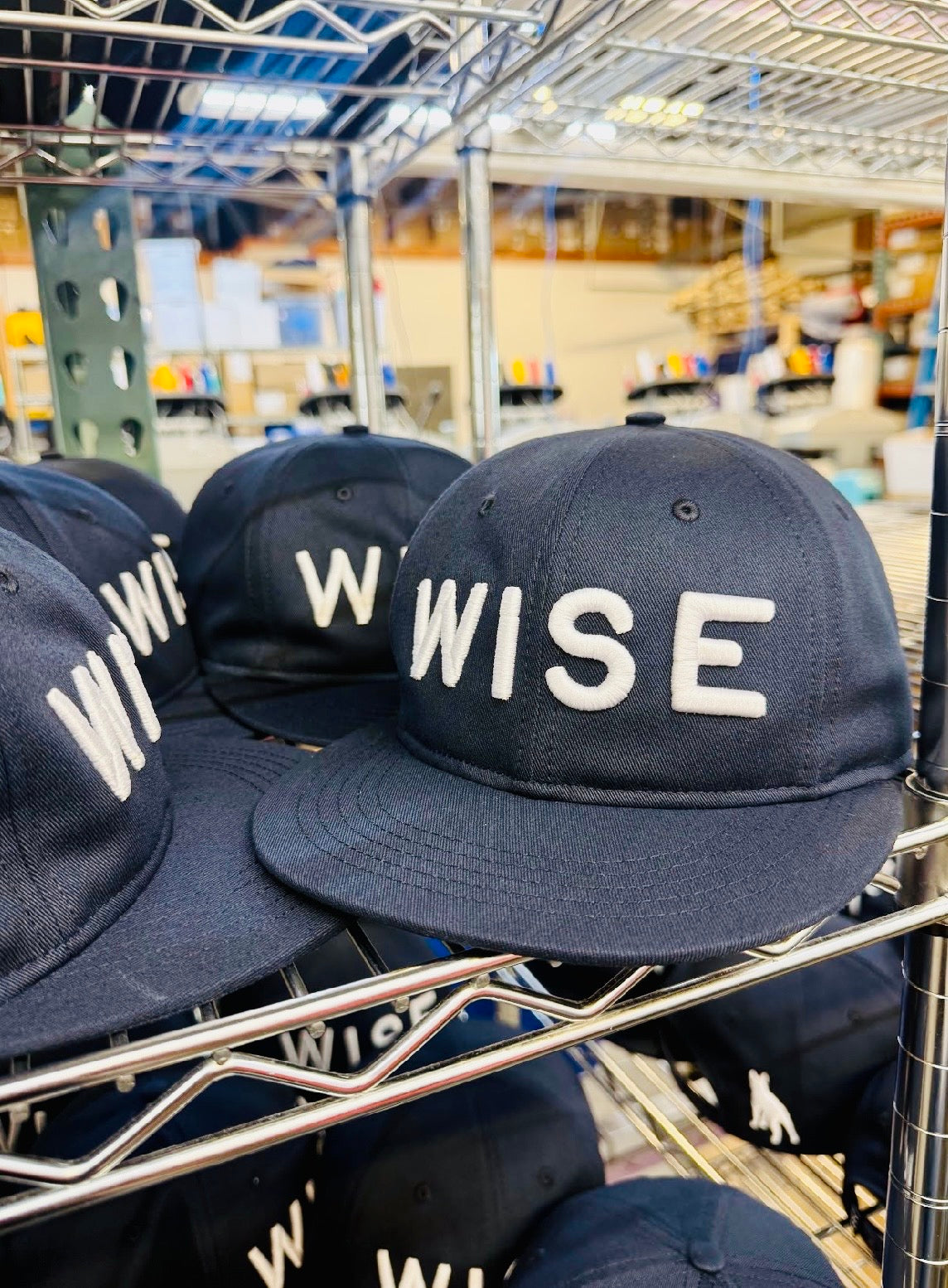 The Wise Old Dog Hat X Sandlot Goods Custom Cap