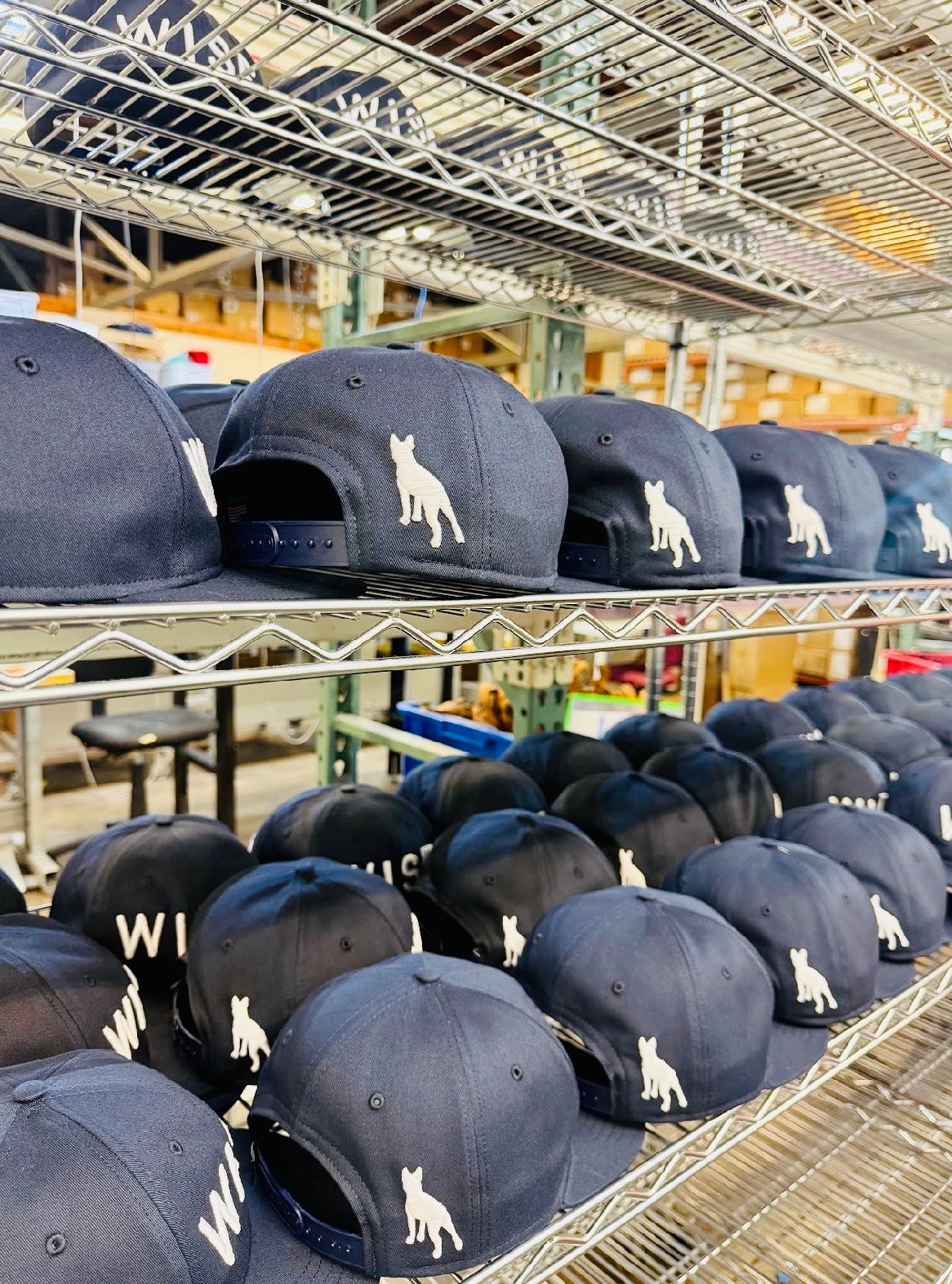 The Wise Old Dog Hat X Sandlot Goods Custom Cap
