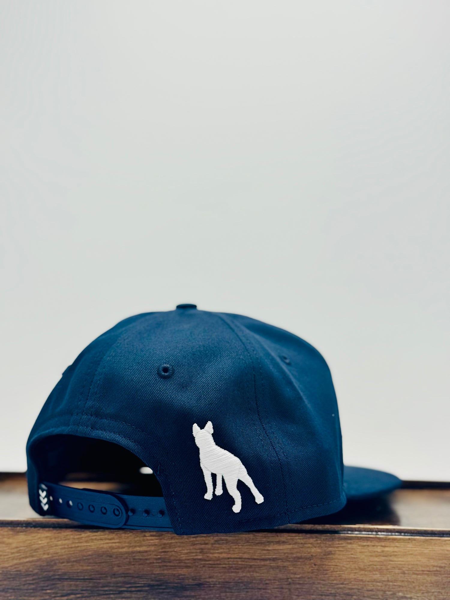The Wise Old Dog Hat X Sandlot Goods Custom Cap
