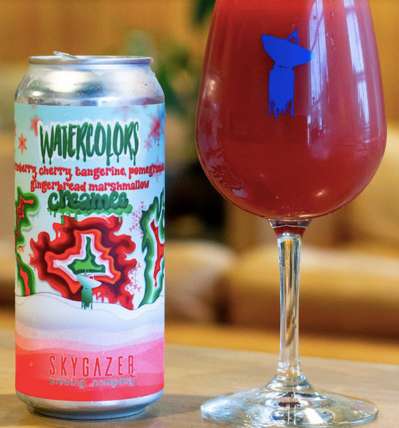 Skygazer Brewing "Watercolors: Christmas Creamee" Smoothie Sour Ale