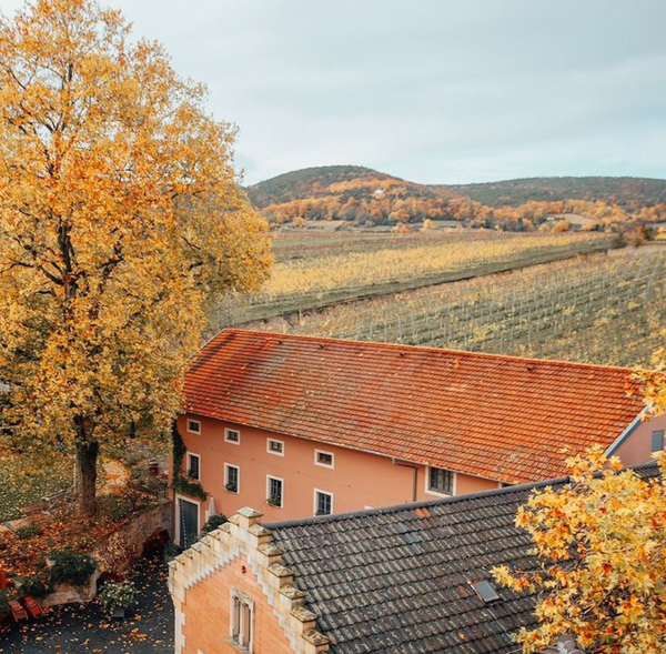 Von Winning Deidesheimer Paradiesgarten Riesling Erste Lagen Trocken
