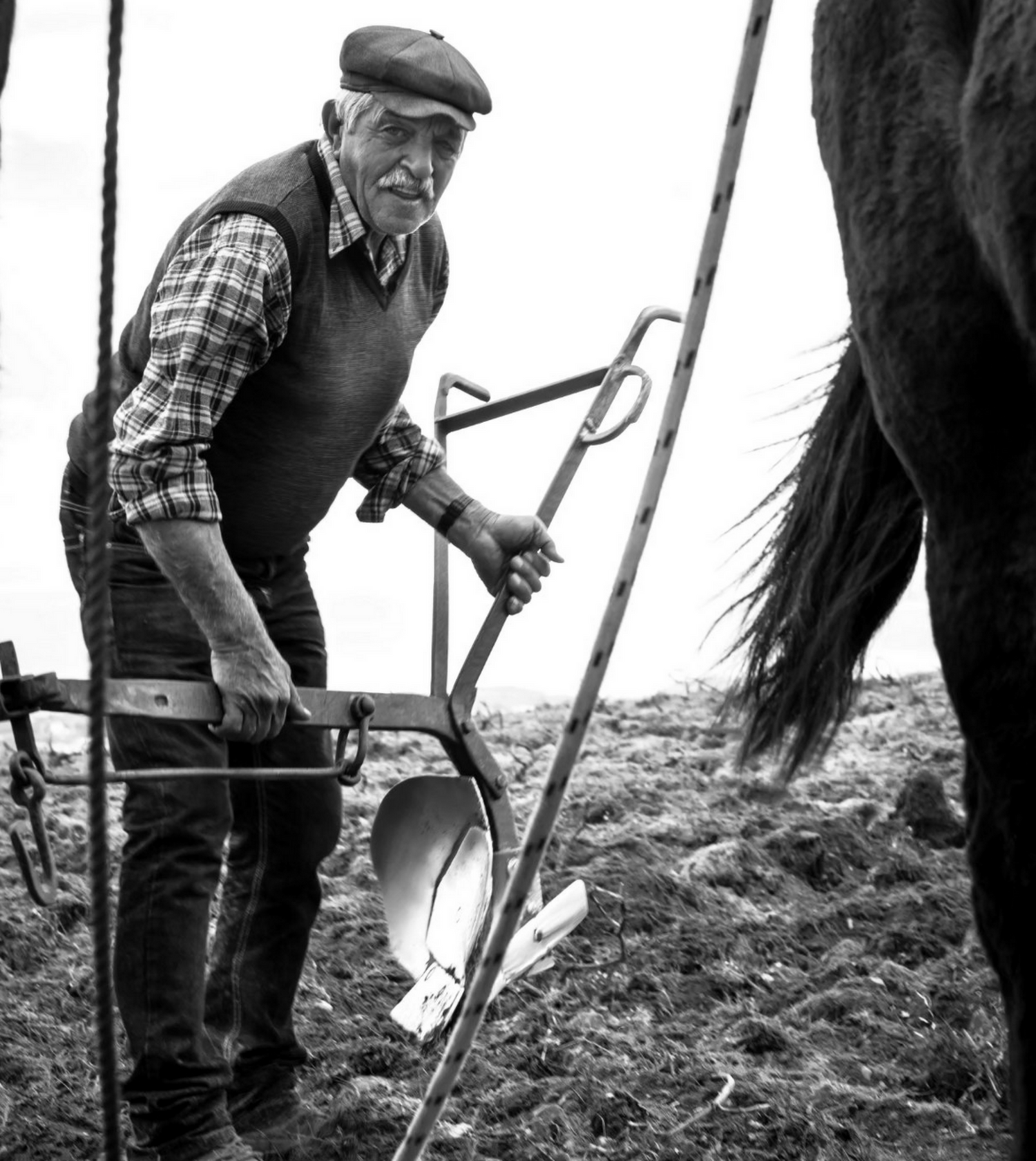 Man plowing a field with a horse-drawn plow in a rural setting.