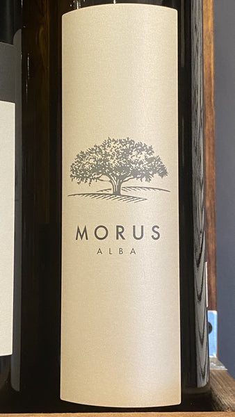 Vina Stekar "Morus Alba" Sivi Pinot, 2019