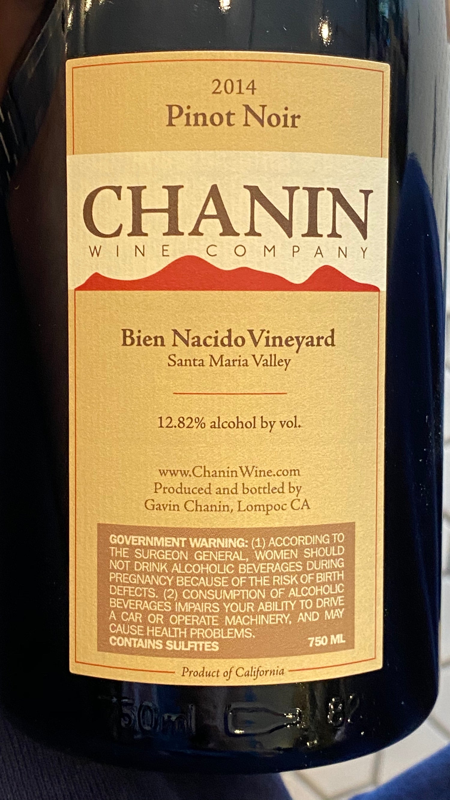 Chanin Wine Company 'Bien Nacido Vineyard' Pinot Noir Santa Maria Valley, 2017