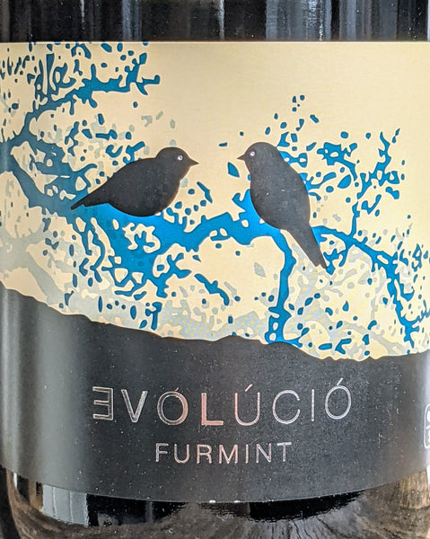 Evolúció, Furmint, 2018
