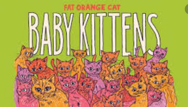 Fat Orange Cat Brewing "Baby Kittens" NEIPA