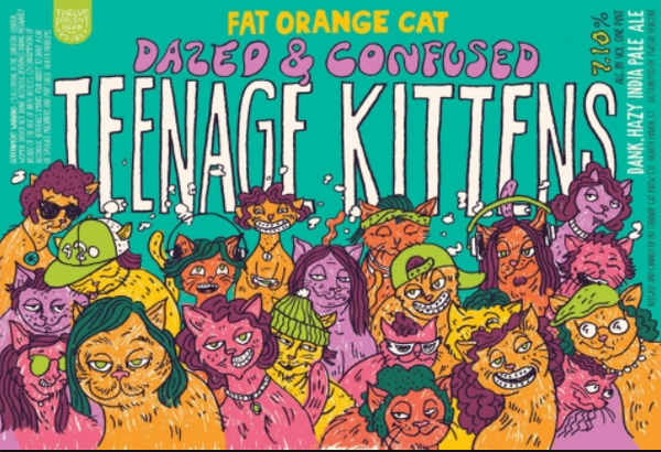 Fat Orange Cat Brewing "Dazed & Confused Teenage Kittens" NEIPA